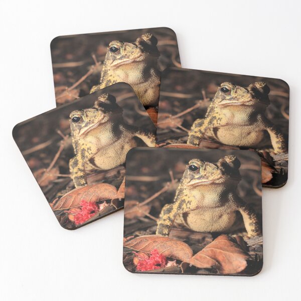 Item preview, Frog in flower garden designed and sold by Kenneth  Gunn.