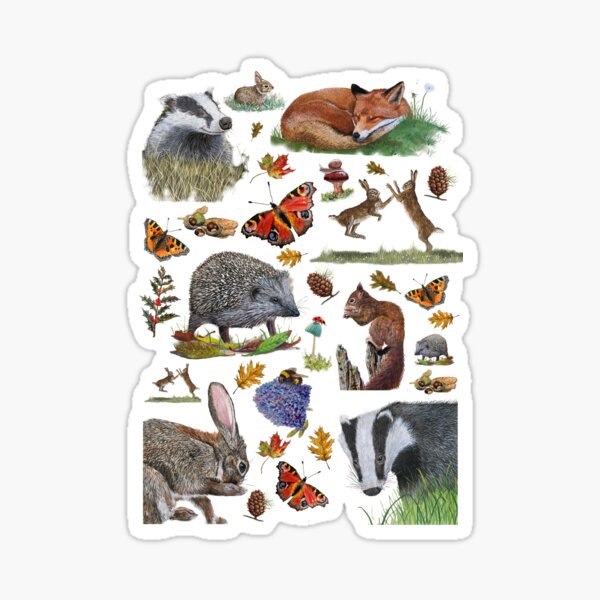 Item preview, British Wildlife Montage (Black Background) designed and sold by Barry Whitehouse.