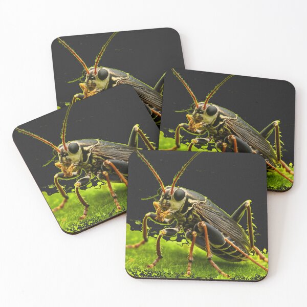 Item preview,  Winged Wonders: Nature's Tiny  designed and sold by AnimalsDH305.