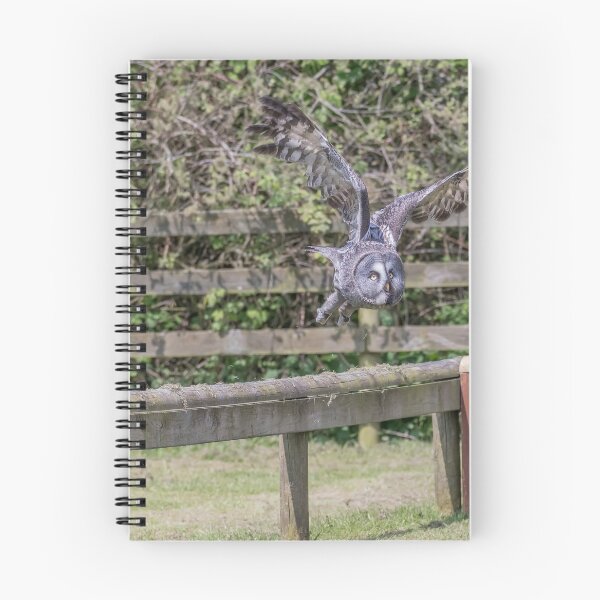 Item preview, The Great Grey Owl designed and sold by Darren Wilkes.