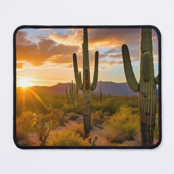 Item preview, Saguaro national park designed and sold by Foreververypoor.