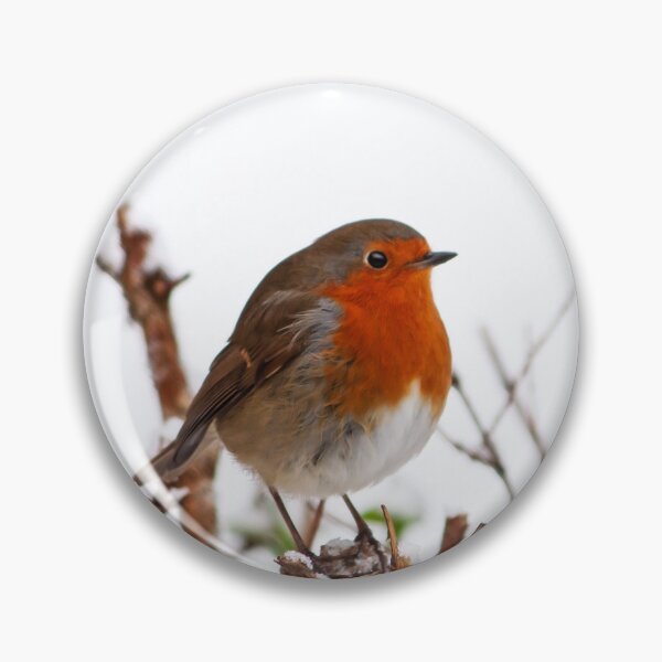 Item preview, PORTRAIT: ROBIN ALONE designed and sold by Coigach.