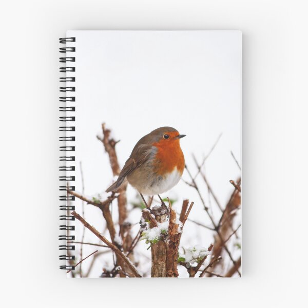 Item preview, PORTRAIT: ROBIN ALONE designed and sold by Coigach.