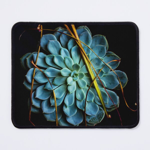 Item preview, Dracaena Marginata leaves on Aeonium Urbicum designed and sold by Coigach.