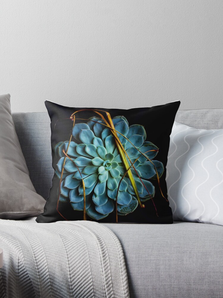 Thumbnail 1 of 4, Pillow, Dracaena Marginata leaves on Aeonium Urbicum designed and sold by Coigach.