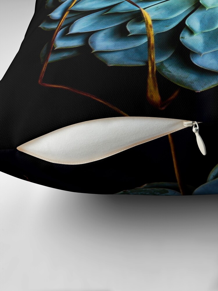 Thumbnail 2 of 4, Pillow, Dracaena Marginata leaves on Aeonium Urbicum designed and sold by Coigach.