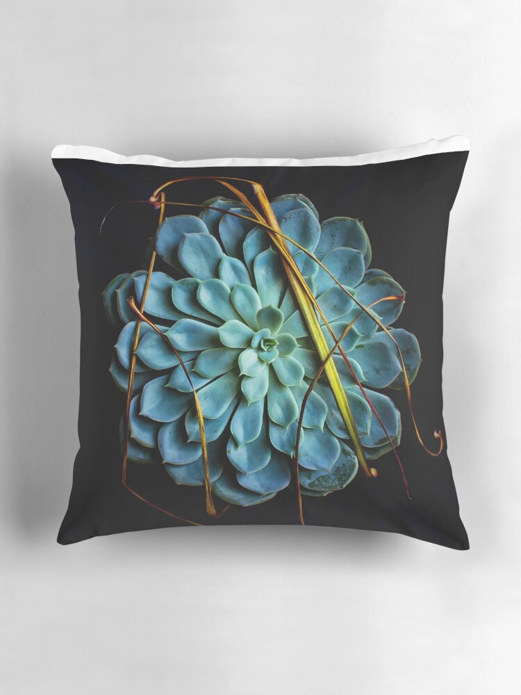 Thumbnail 3 of 4, Pillow, Dracaena Marginata leaves on Aeonium Urbicum designed and sold by Coigach.