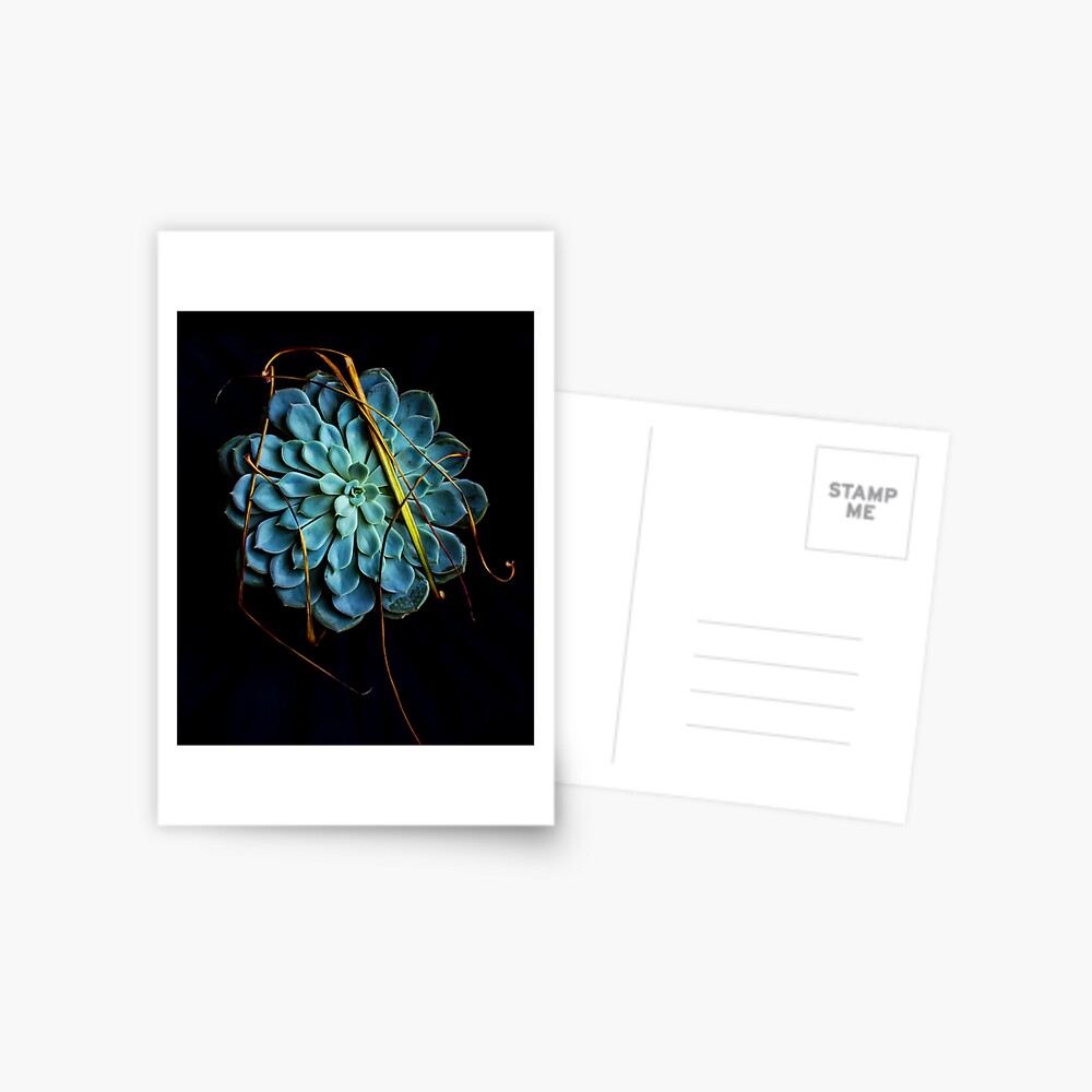 Item preview, Postcard designed and sold by Coigach.