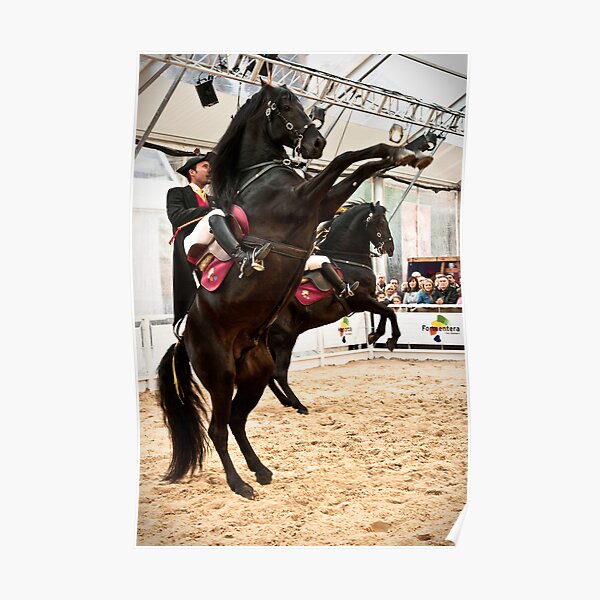 Menorcan dressage - Spanish step Poster