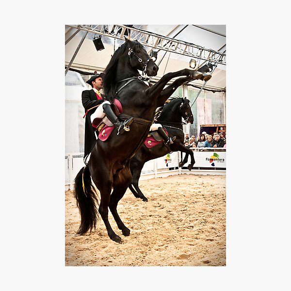 Menorcan dressage - Spanish step Photographic Print