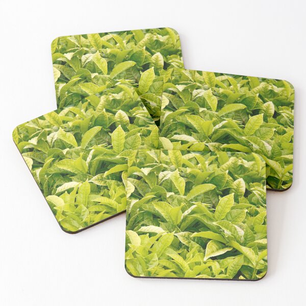Item preview, Indian variety of tea designed and sold by Gaspar Avila.