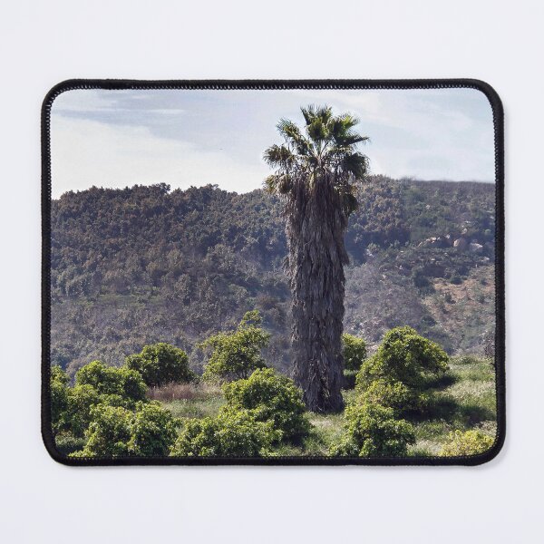 Item preview, Solitary Palm designed and sold by heatherfriedman.