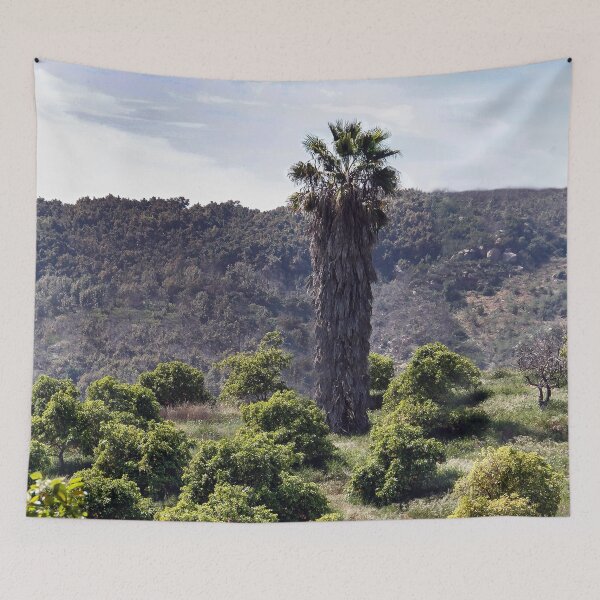 Item preview, Solitary Palm designed and sold by heatherfriedman.