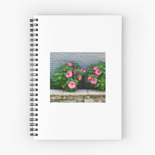 Item preview, Pink Hibiscus designed and sold by Jane Evans.
