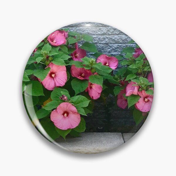 Item preview, Pink Hibiscus designed and sold by Jane Evans.