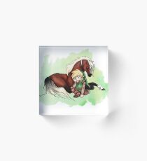 Link & Epona Acrylic Block