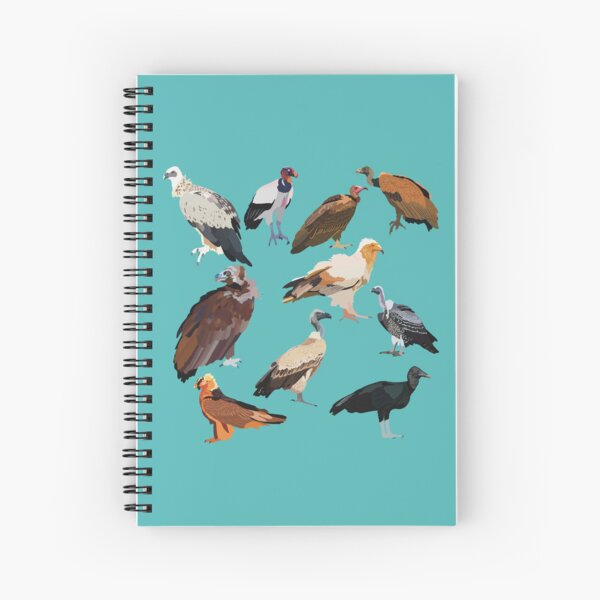 Item preview, V is for Vulture.Vulture Illustration – Majestic Scavenger Bird Wildlife Art designed and sold by PrettylittlepastelUk.