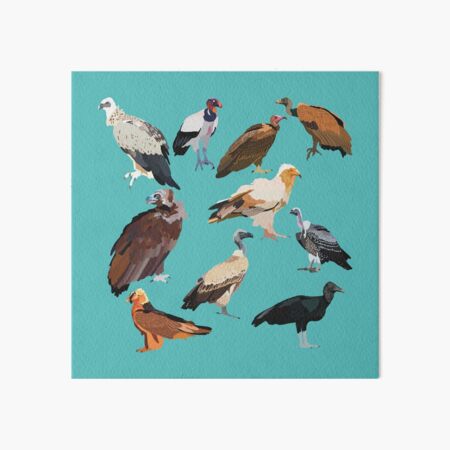 Item preview, V is for Vulture.Vulture Illustration – Majestic Scavenger Bird Wildlife Art designed and sold by PrettylittlepastelUk.