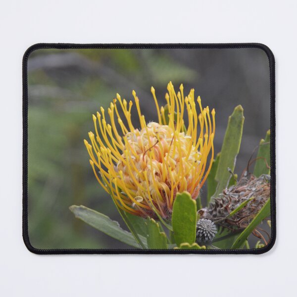 Item preview, Wartstem Pincushion designed and sold by FootprintDesign.
