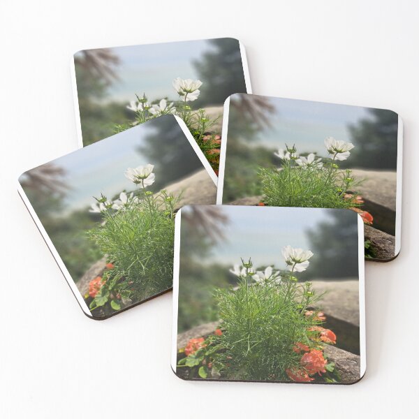 Item preview, White and orange field flower flowers tapestry wildflowers  photography designed and sold by Coolparrotgirl.