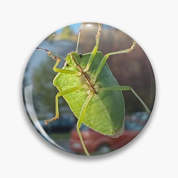Item preview, Green insect on a window with an urban background designed and sold by Peter-Pan-S.