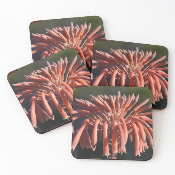 Item preview, Soap Aloe designed and sold by FootprintDesign.
