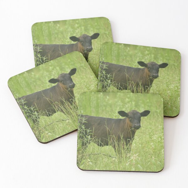 Item preview, Litle calf eating grass in the summer. designed and sold by FoxGlove5.