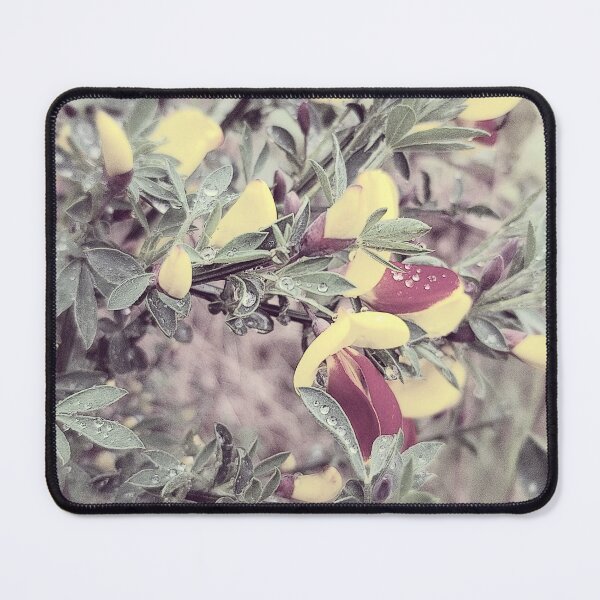 Item preview, Wicked Scotchbroom in Vivid Filter designed and sold by Robyn Eggs Art.