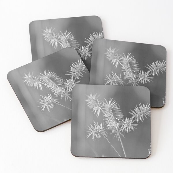 Item preview, A spiked plant in monochrome designed and sold by FoxGlove5.
