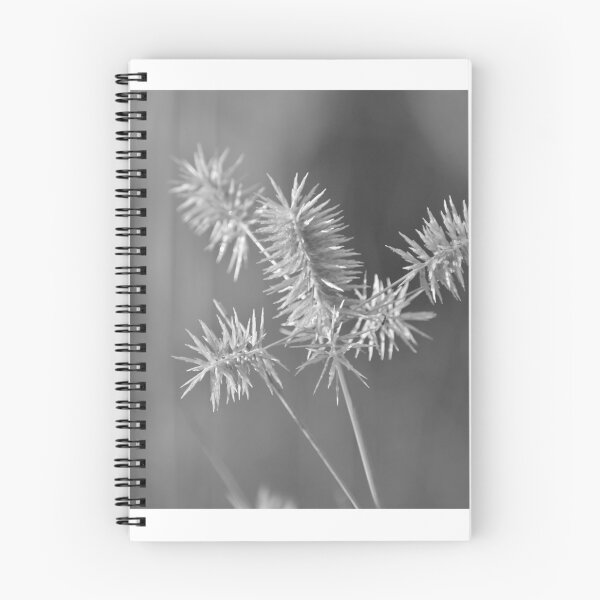 Item preview, A spiked plant in monochrome designed and sold by FoxGlove5.