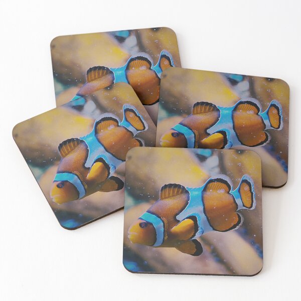 Item preview, Clownfish 1 designed and sold by Charles Oliver Creations.