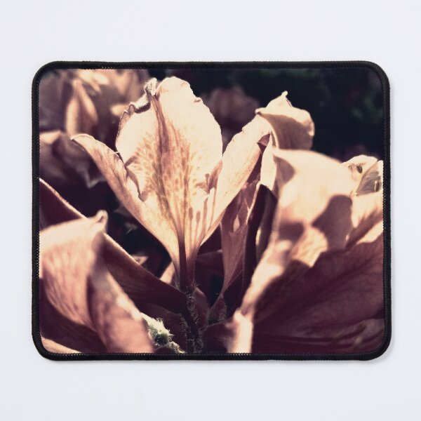 Item preview, Pink Azalea Closeup designed and sold by Robyn Eggs Art.