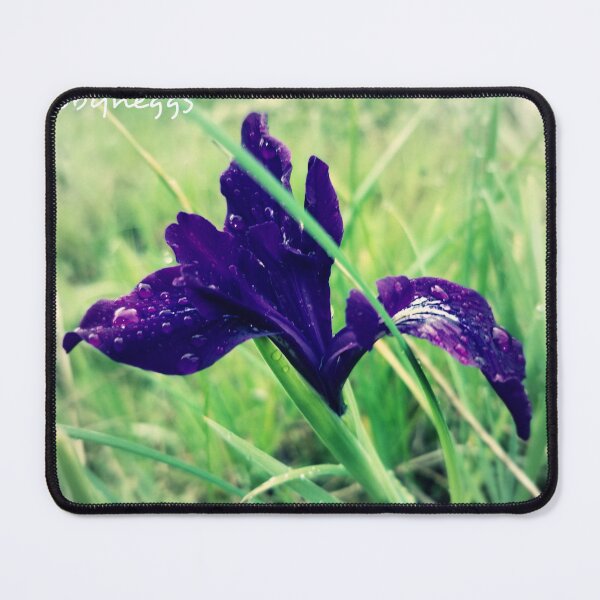 Item preview, Wild purple iris in green grass designed and sold by Robyn Eggs Art.