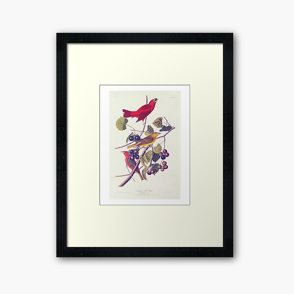 Item preview, Summer Red Bird Tanager designed and sold by IBePatches.
