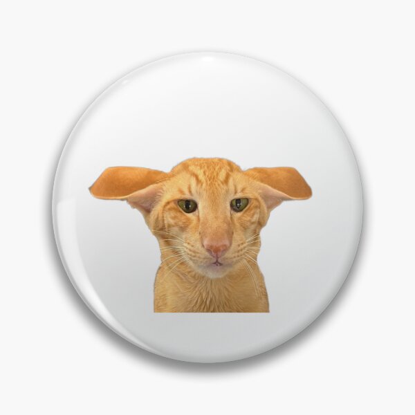 Item preview, Airplane Ear Keebler designed and sold by Hautecatture.
