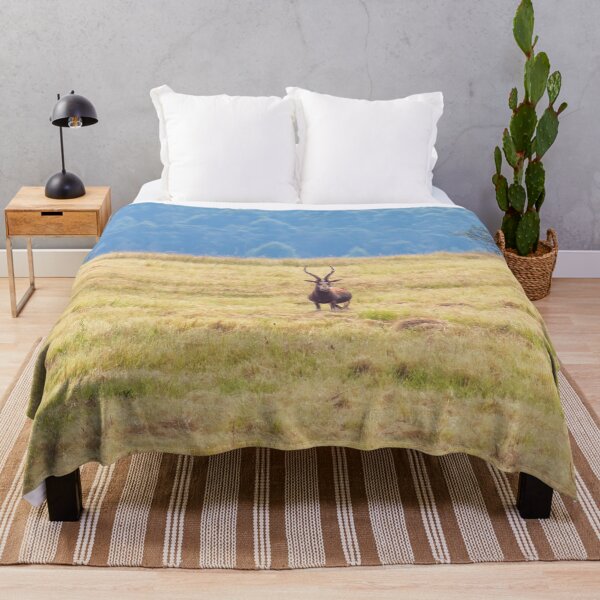 Item preview, Blesbok White Faced Antelope in Field designed and sold by SafariByMarisa.