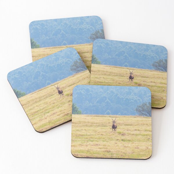 Item preview, Blesbok White Faced Antelope in Field designed and sold by SafariByMarisa.