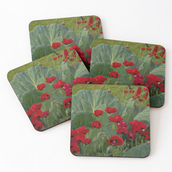 Item preview, Cabbage Patch Full of Poppies - Georgeson Botanical Garden 2024 designed and sold by mahnkephotos.