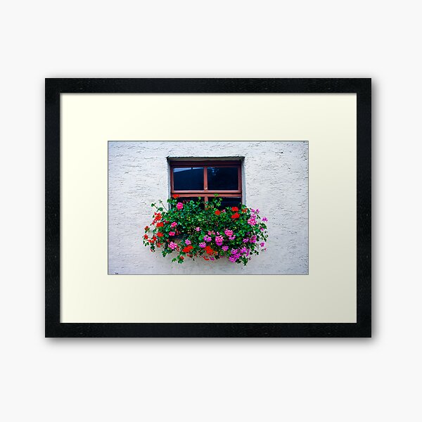 Flower Box Framed Art Print
