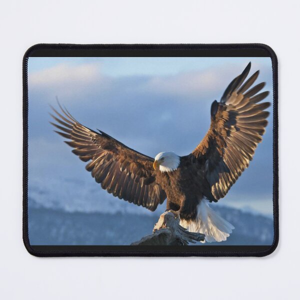 Item preview, Eagle Habitats Around the World designed and sold by MollyMetcalfa.