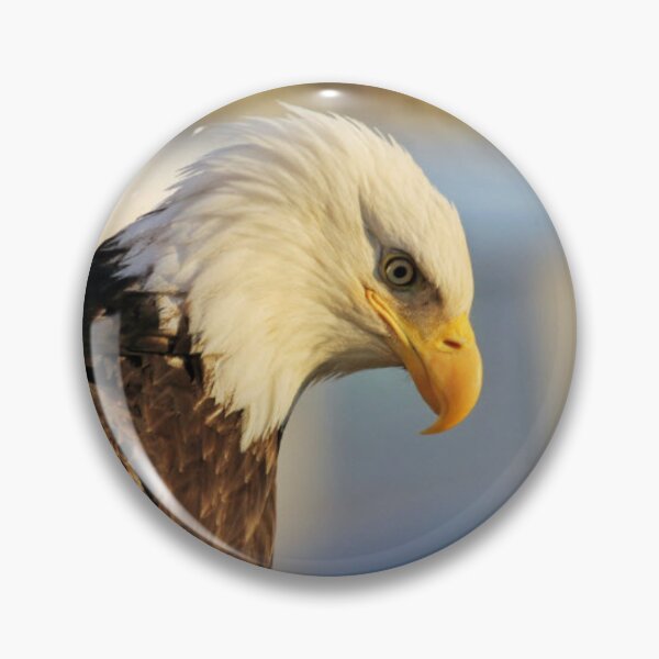 Item preview, The Life Cycle of an Eagle designed and sold by MollyMetcalfa.