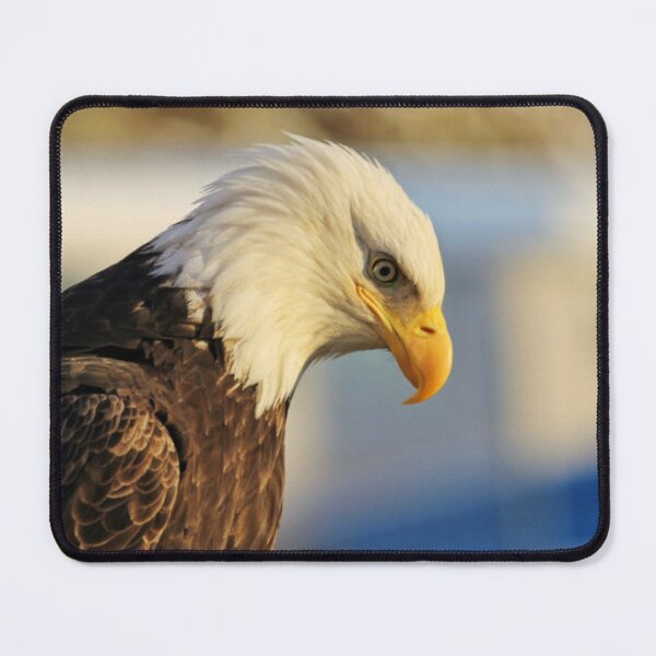Item preview, The Life Cycle of an Eagle designed and sold by MollyMetcalfa.