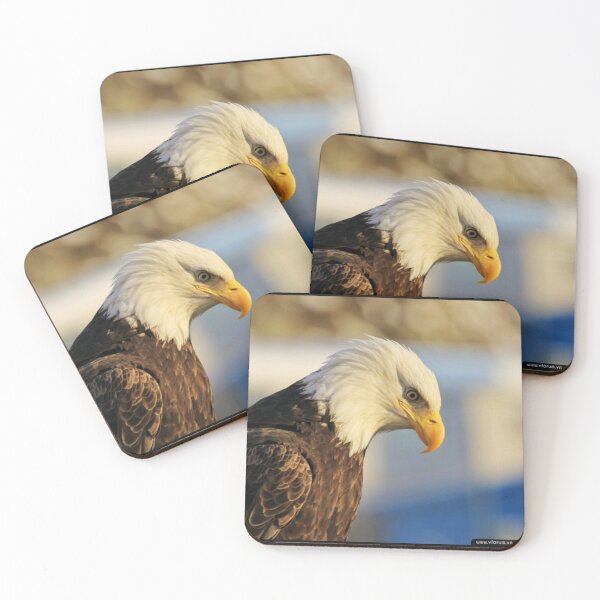 Item preview, The Life Cycle of an Eagle designed and sold by MollyMetcalfa.