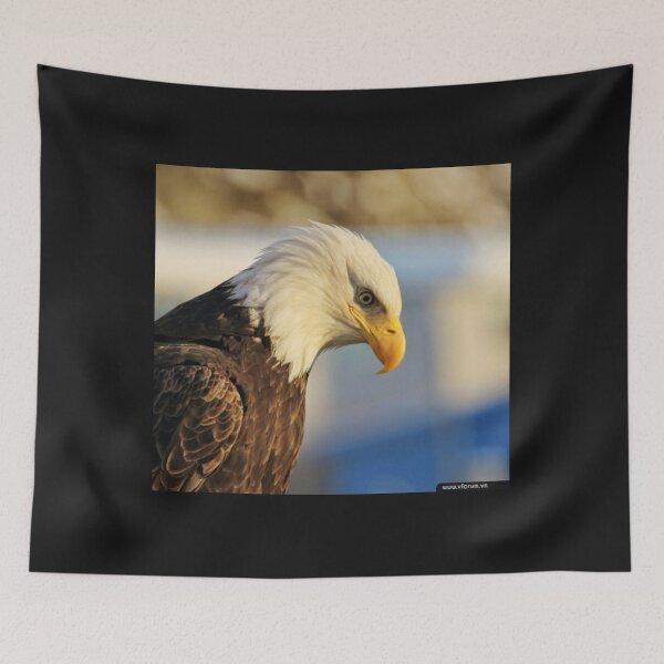 Item preview, The Life Cycle of an Eagle designed and sold by MollyMetcalfa.