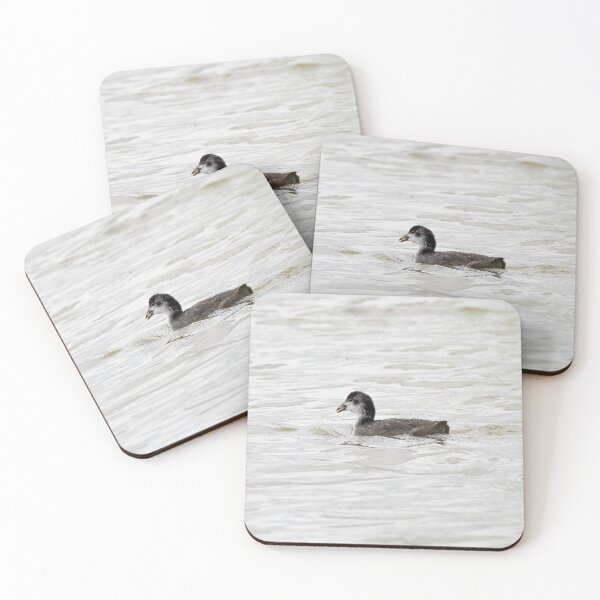 Item preview, Coot designed and sold by MTPhotos1406.