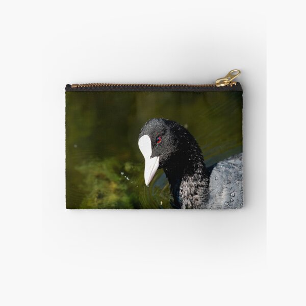 Item preview, Coot designed and sold by MTPhotos1406.