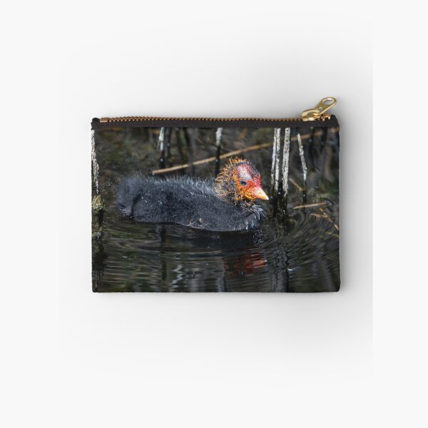 Item preview, Coot designed and sold by MTPhotos1406.