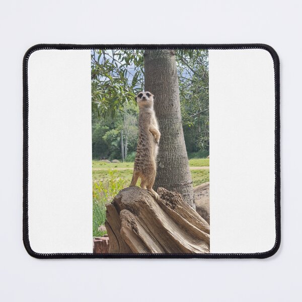 Item preview, MEERCAT, ANIMALS, CUTE, CURIOUS. designed and sold by Roslyn1978.