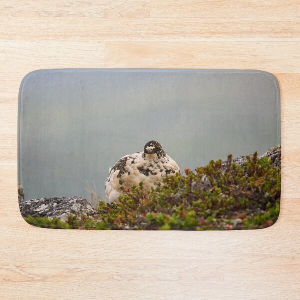 Item preview, The curious one. Rock ptarmigan Kiilopaa designed and sold by Jouko Lehto Photography.