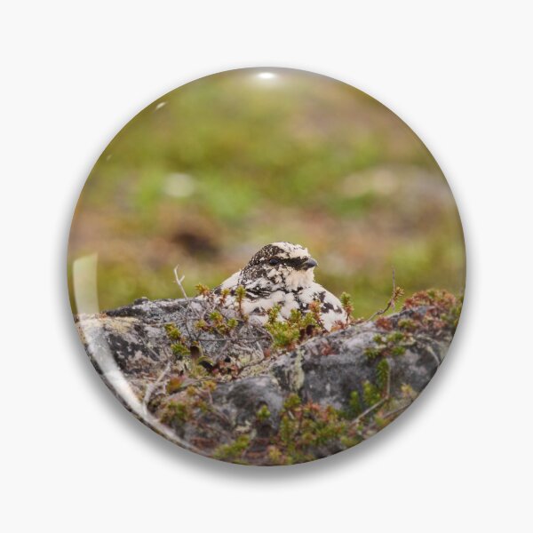Item preview, Hiding on plain sight. Rock ptarmigan Kiilopaa designed and sold by Jouko Lehto Photography.